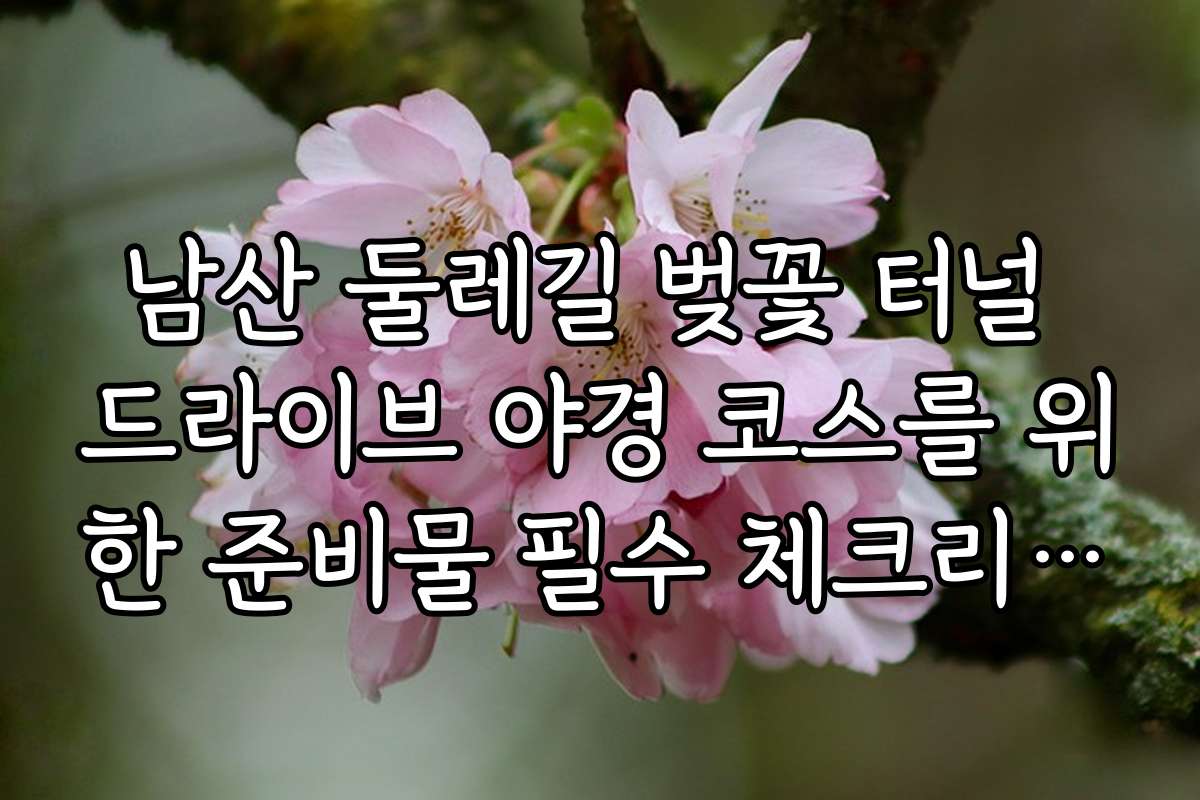 남산 둘레길 벚꽃 터널 드라이브 야경 코스를 위한 준비물 필수 체크리스트