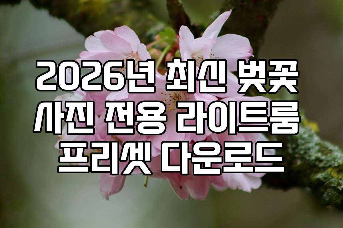 2026년 최신 벚꽃 사진 전용 라이트룸 프리셋 다운로드