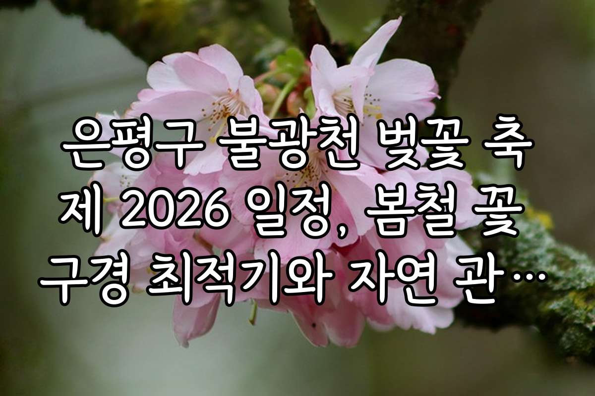 은평구 불광천 벚꽃 축제 2026 일정, 봄철 꽃 구경 최적기와 자연 관찰법