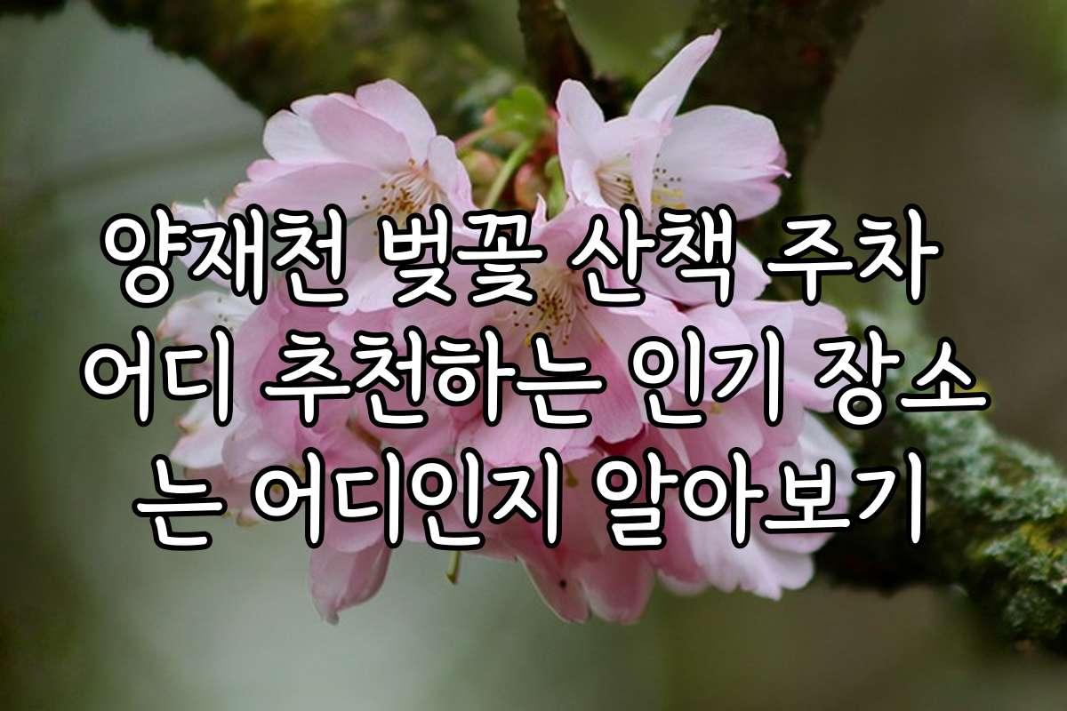양재천 벚꽃 산책 주차 어디 추천하는 인기 장소는 어디인지 알아보기