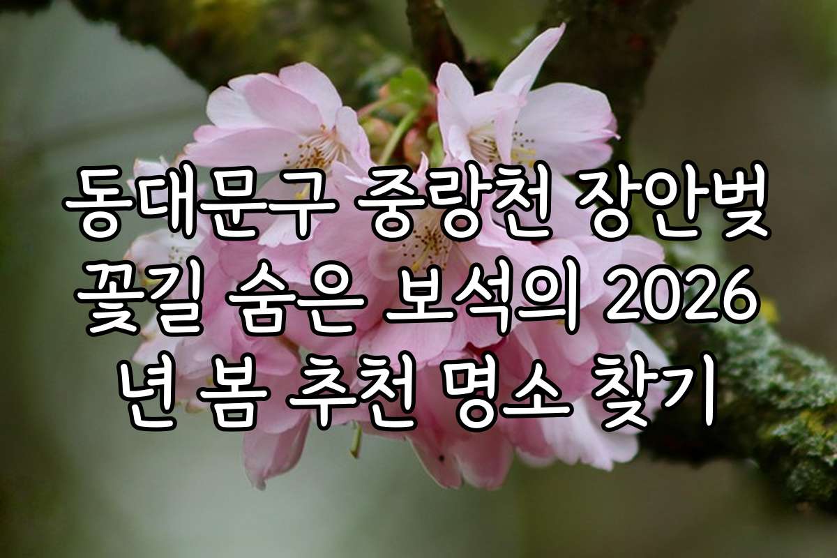 동대문구 중랑천 장안벚꽃길 숨은 보석의 2026년 봄 추천 명소 찾기