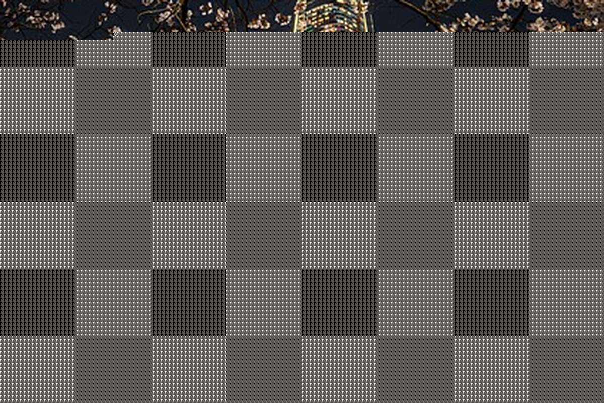 석촌호수 근처 무료 주차 가능한 곳 2026 이용 가능 시간과 제한 조건 상세 안내