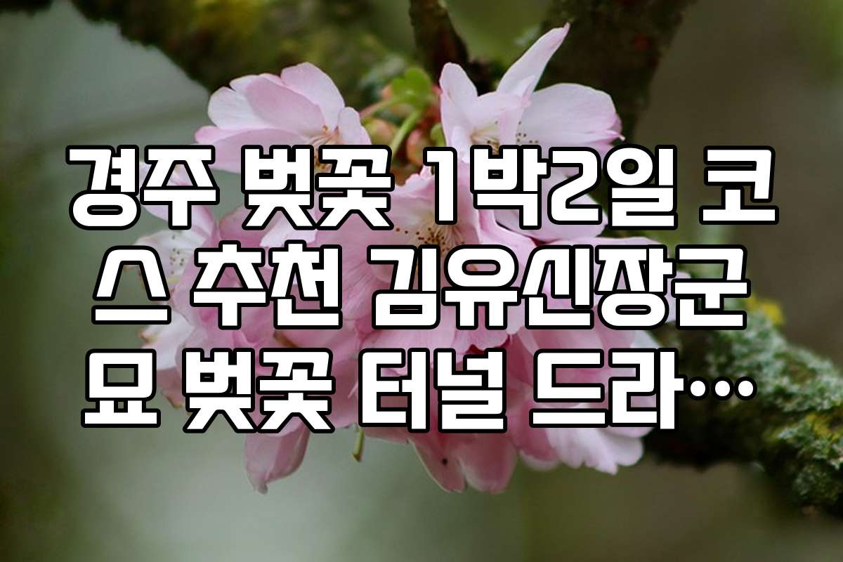 경주 벚꽃 1박2일 코스 추천 김유신장군묘 벚꽃 터널 드라이브