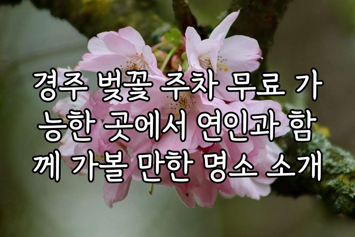 경주 벚꽃 주차 무료 가능한 곳에서 연인과 함께 가볼 만한 명소 소개