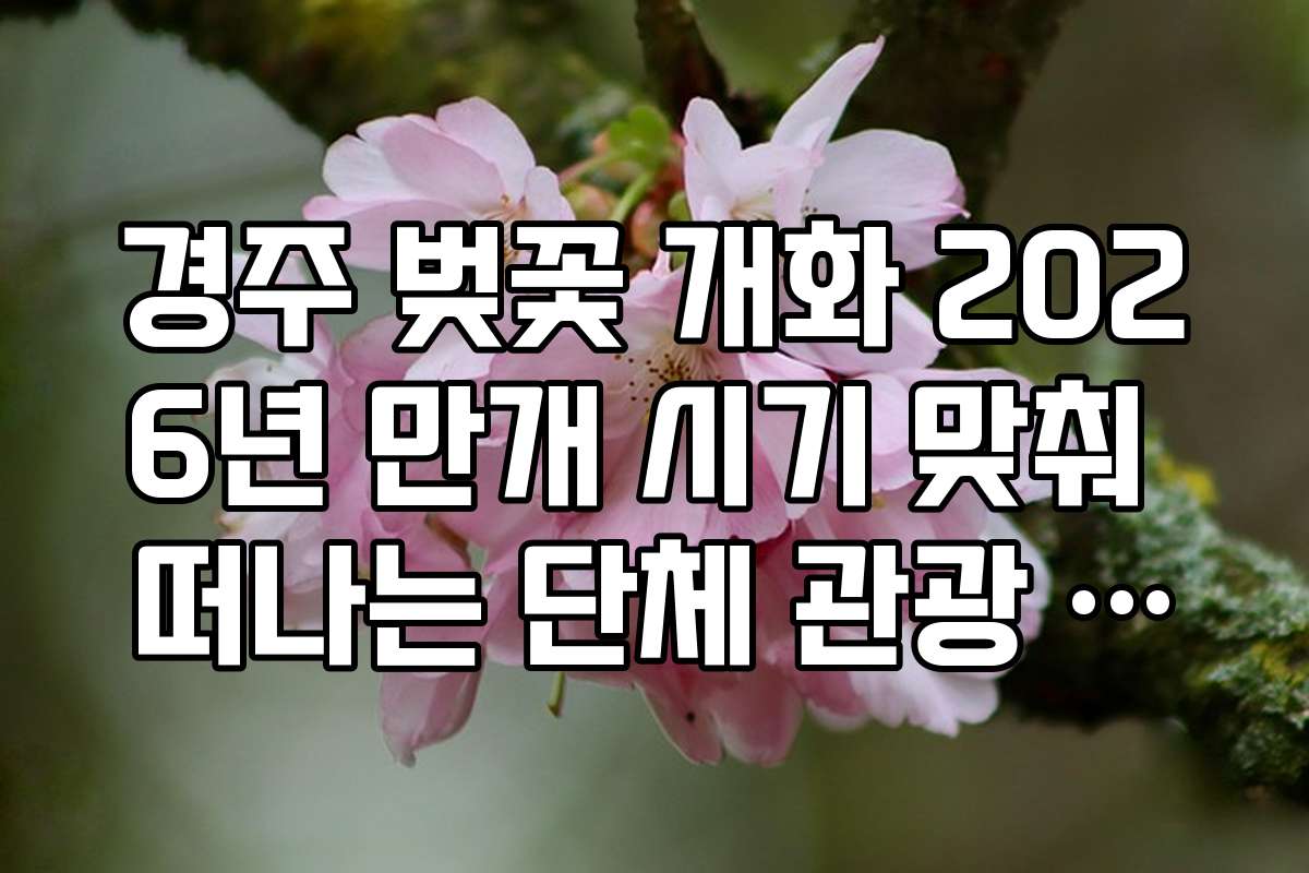 경주 벚꽃 개화 2026년 만개 시기 맞춰 떠나는 단체 관광 정보