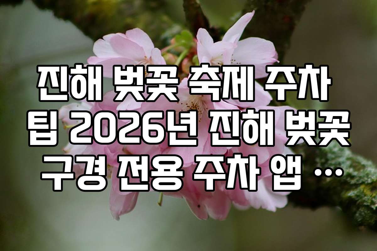 진해 벚꽃 축제 주차 팁 2026년 진해 벚꽃 구경 전용 주차 앱 추천