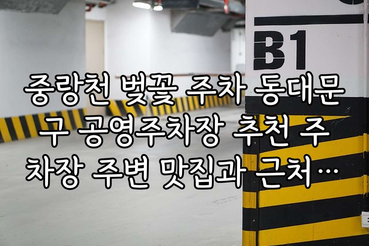 중랑천 벚꽃 주차 동대문구 공영주차장 추천 주차장 주변 맛집과 근처 카페 추천 리스트