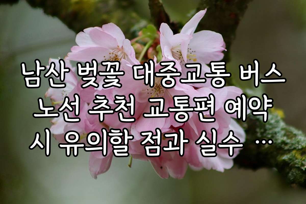 남산 벚꽃 대중교통 버스 노선 추천 교통편 예약 시 유의할 점과 실수 방지 꿀팁