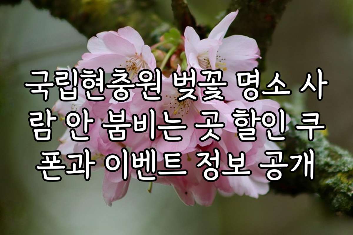 국립현충원 벚꽃 명소 사람 안 붐비는 곳 할인 쿠폰과 이벤트 정보 공개