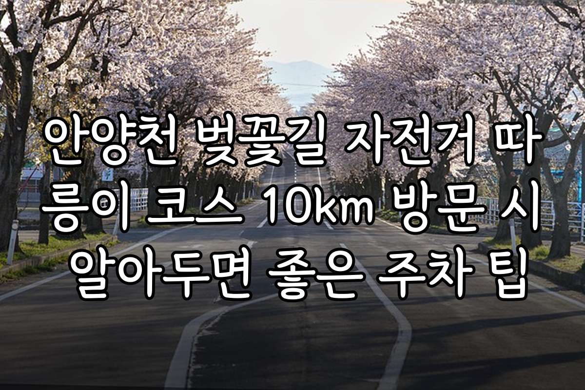 안양천 벚꽃길 자전거 따릉이 코스 10km 방문 시 알아두면 좋은 주차 팁