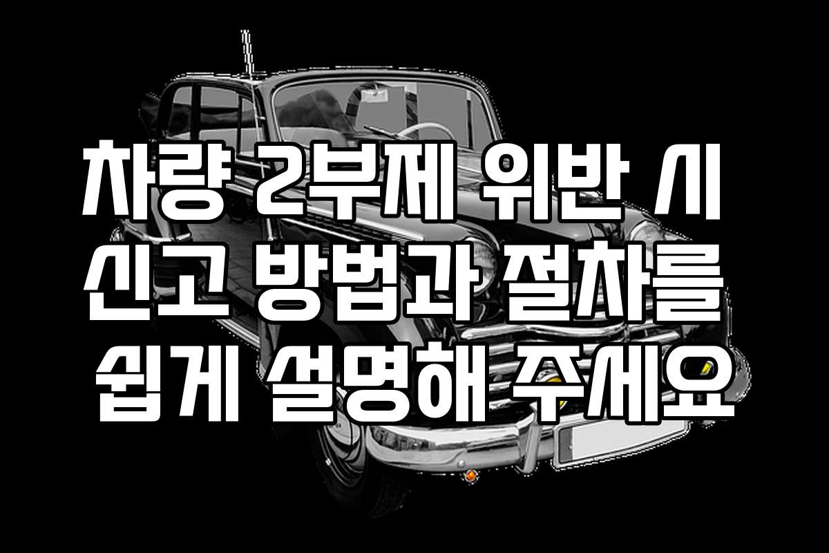 차량 2부제 위반 시 신고 방법과 절차를 쉽게 설명해 주세요