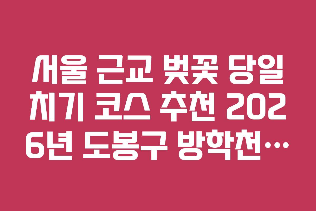 서울 근교 벚꽃 당일치기 코스 추천 2026년 도봉구 방학천 벚꽃길 갤러리