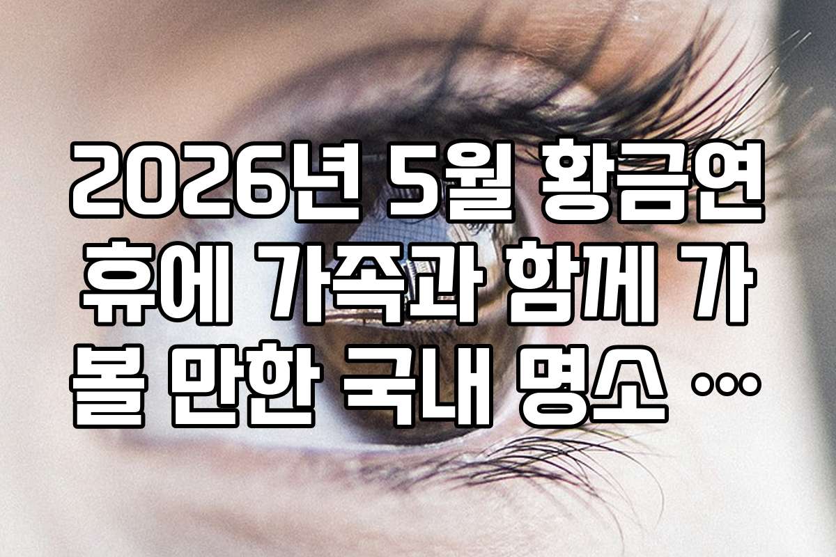 2026년 5월 황금연휴에 가족과 함께 가볼 만한 국내 명소 추천