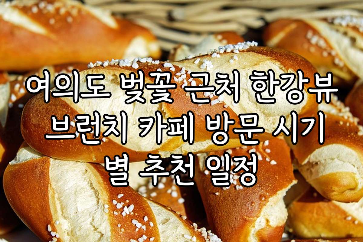 여의도 벚꽃 근처 한강뷰 브런치 카페 방문 시기별 추천 일정