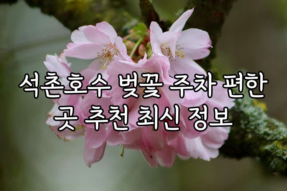 석촌호수 벚꽃 주차 편한곳 추천 최신 정보