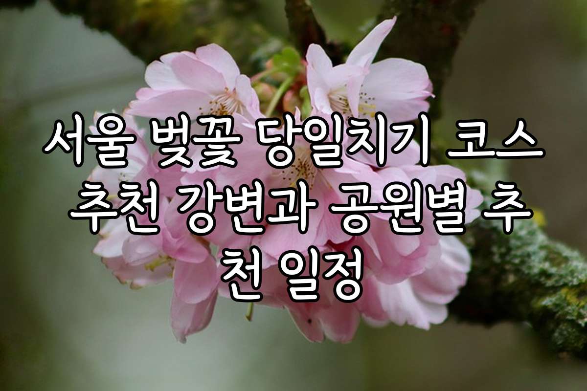서울 벚꽃 당일치기 코스 추천 강변과 공원별 추천 일정