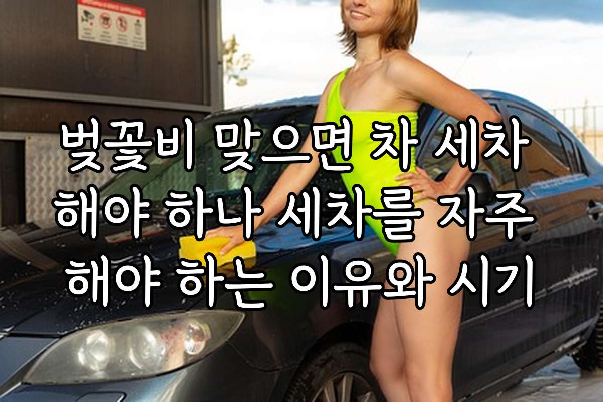 벚꽃비 맞으면 차 세차 해야 하나 세차를 자주 해야 하는 이유와 시기