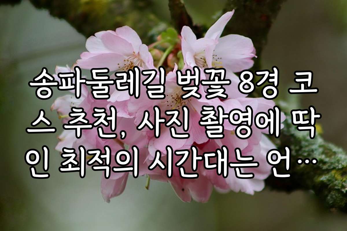 송파둘레길 벚꽃 8경 코스 추천, 사진 촬영에 딱인 최적의 시간대는 언제인가