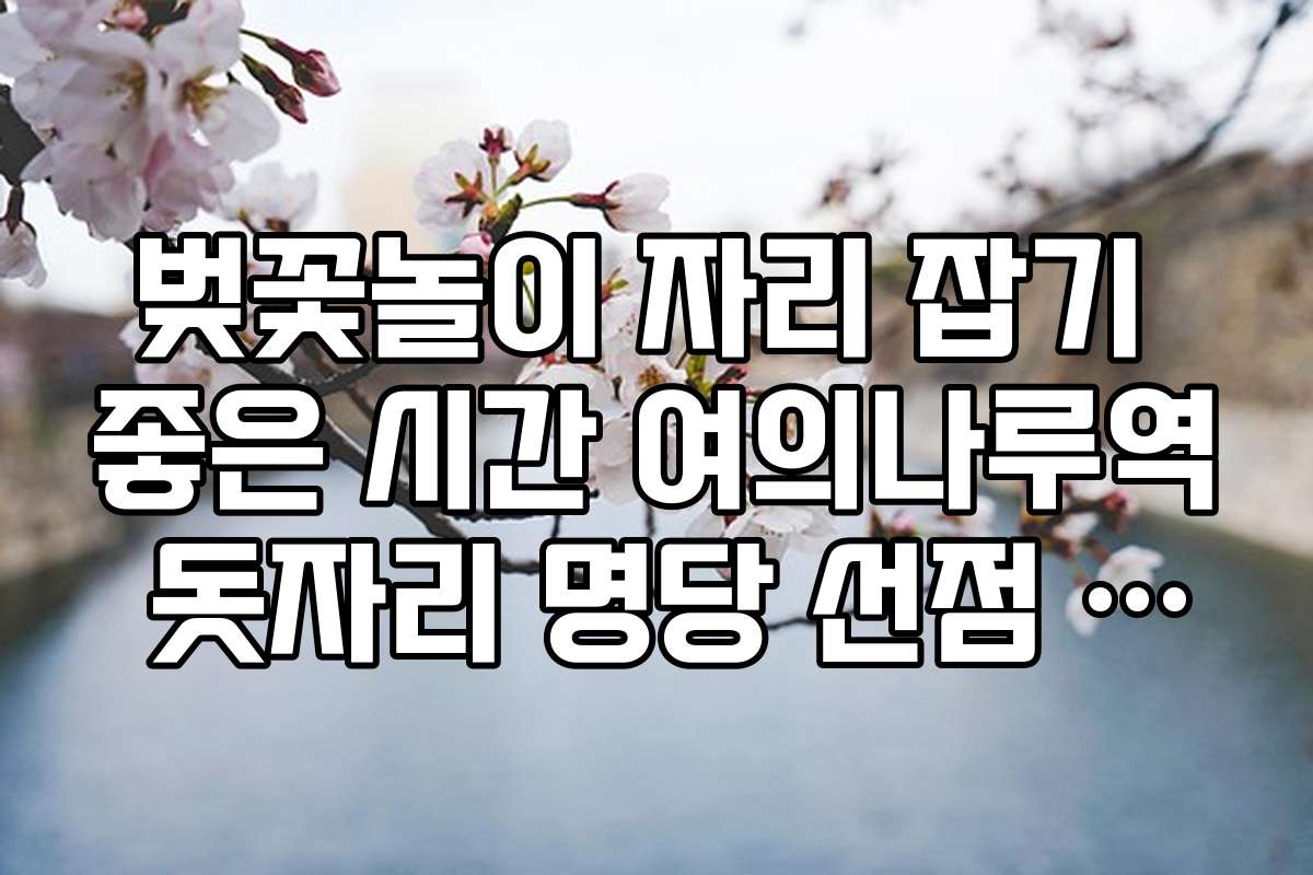 벚꽃놀이 자리 잡기 좋은 시간 여의나루역 돗자리 명당 선점 시간표