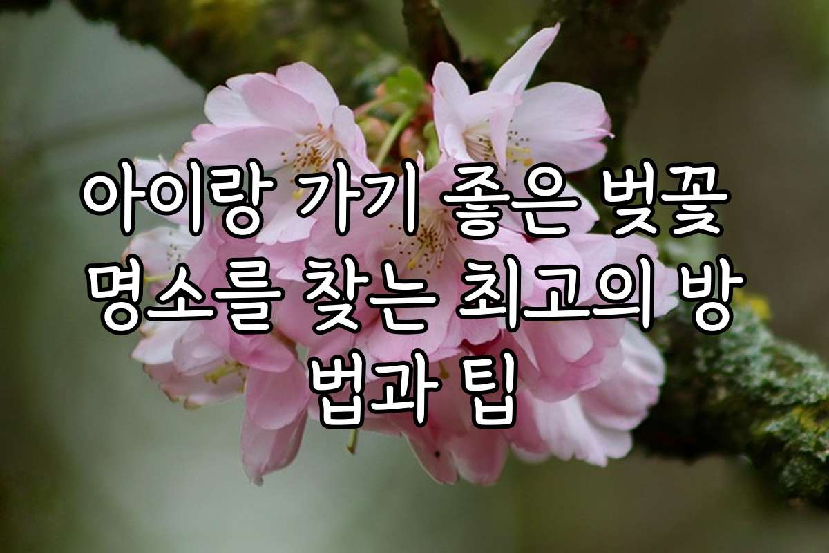 아이랑 가기 좋은 벚꽃 명소를 찾는 최고의 방법과 팁