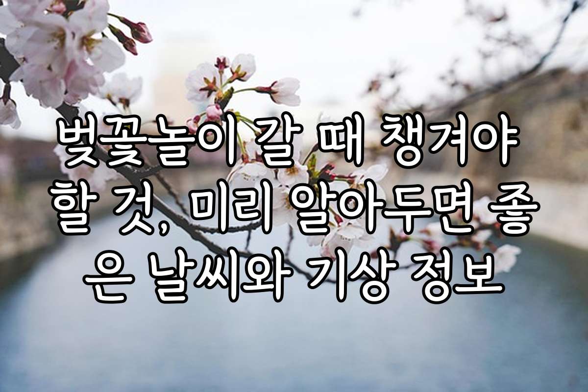 벚꽃놀이 갈 때 챙겨야 할 것, 미리 알아두면 좋은 날씨와 기상 정보