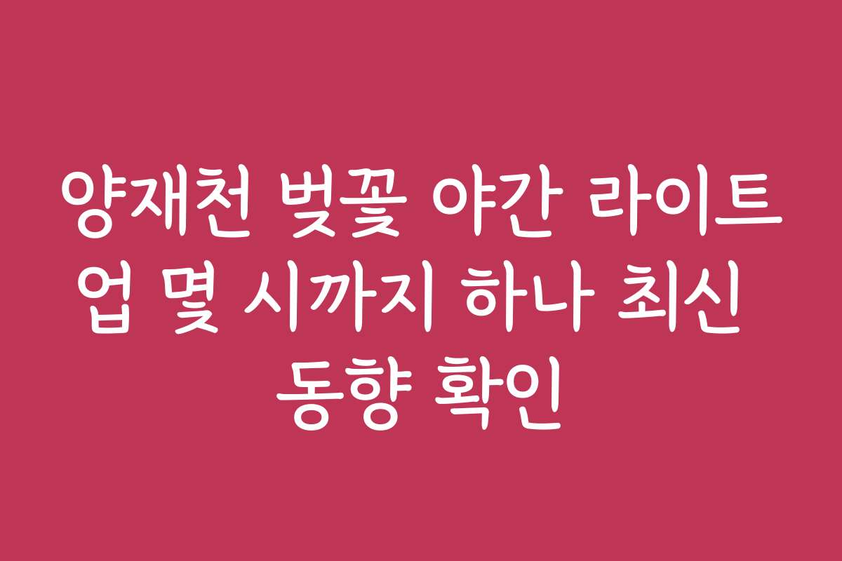 양재천 벚꽃 야간 라이트업 몇 시까지 하나 최신 동향 확인