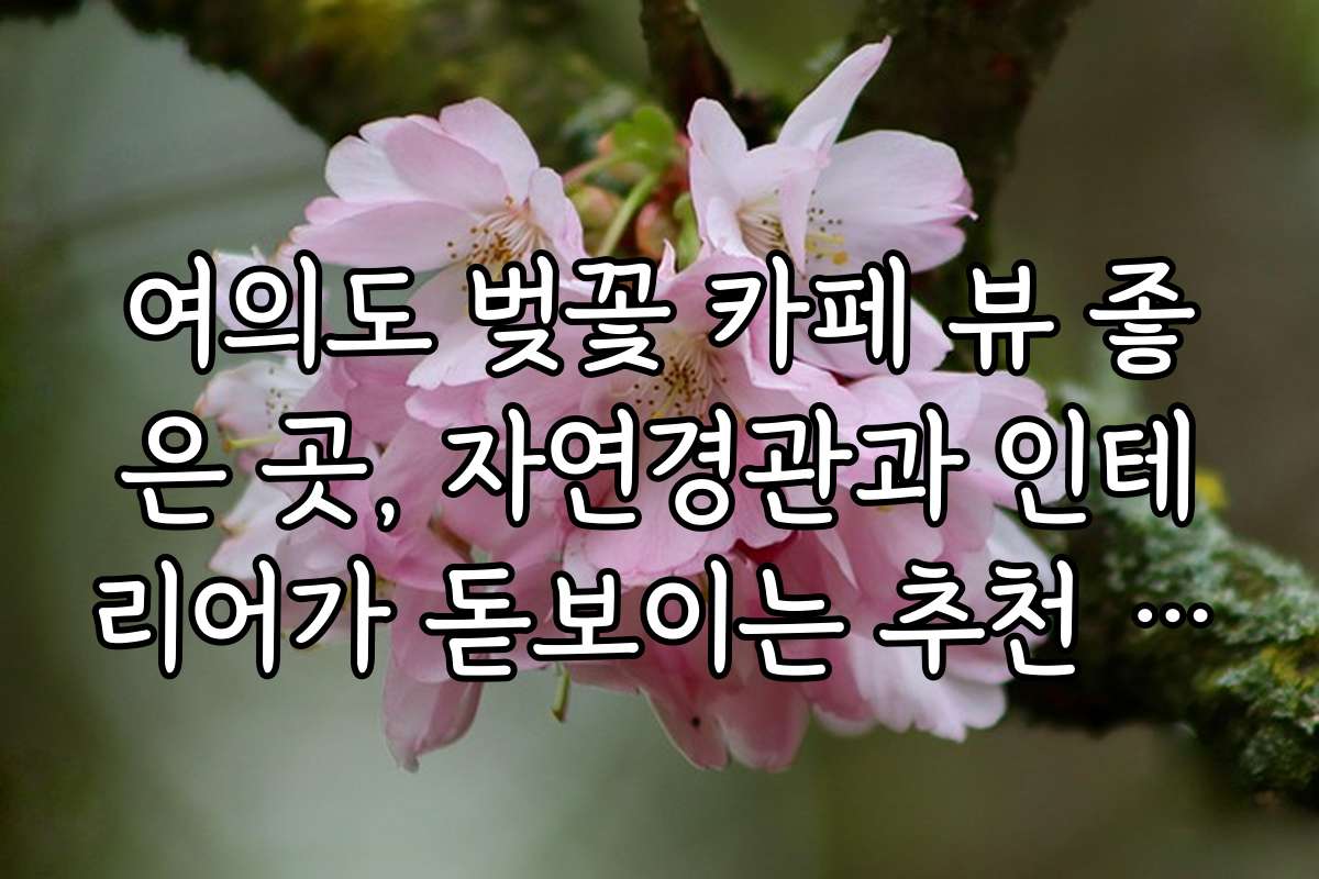 여의도 벚꽃 카페 뷰 좋은 곳, 자연경관과 인테리어가 돋보이는 추천 카페 리스트