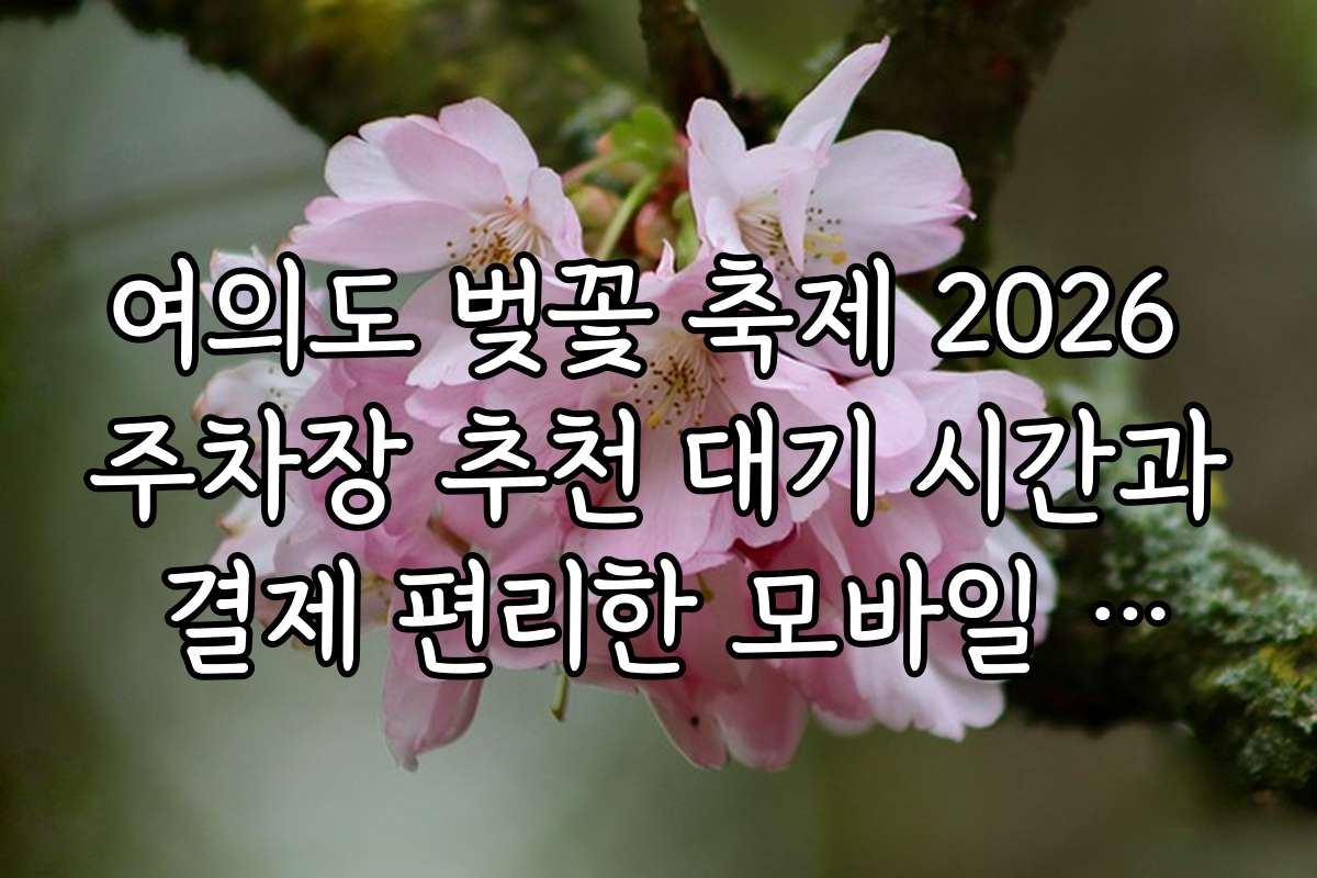 여의도 벚꽃 축제 2026 주차장 추천 대기 시간과 결제 편리한 모바일 주차 서비스