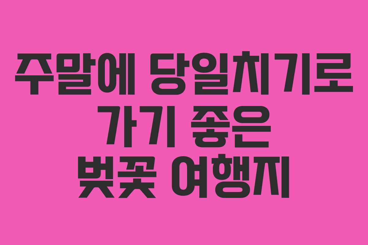 주말에 당일치기로 가기 좋은 벚꽃 여행지