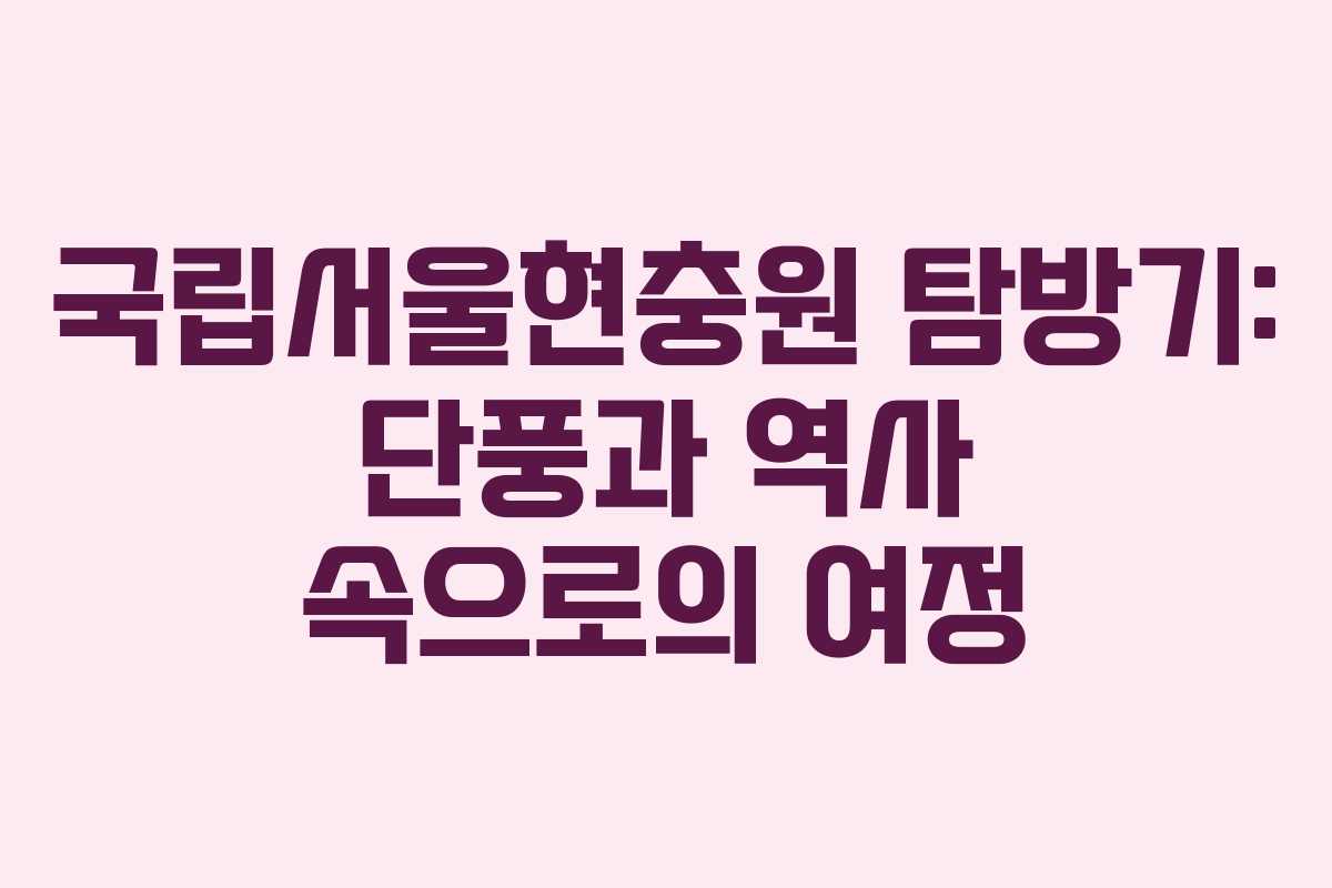 국립서울현충원 탐방기: 단풍과 역사 속으로의 여정