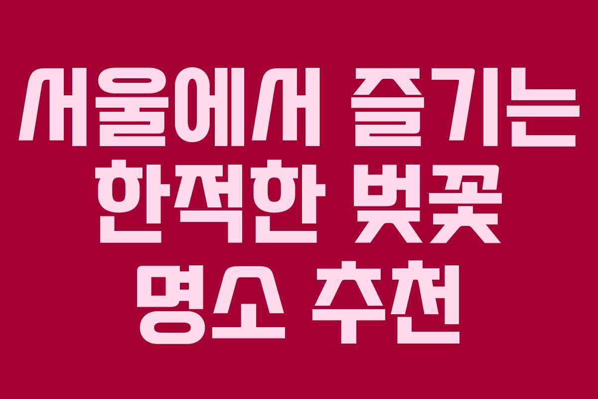 서울에서 즐기는 한적한 벚꽃 명소 추천