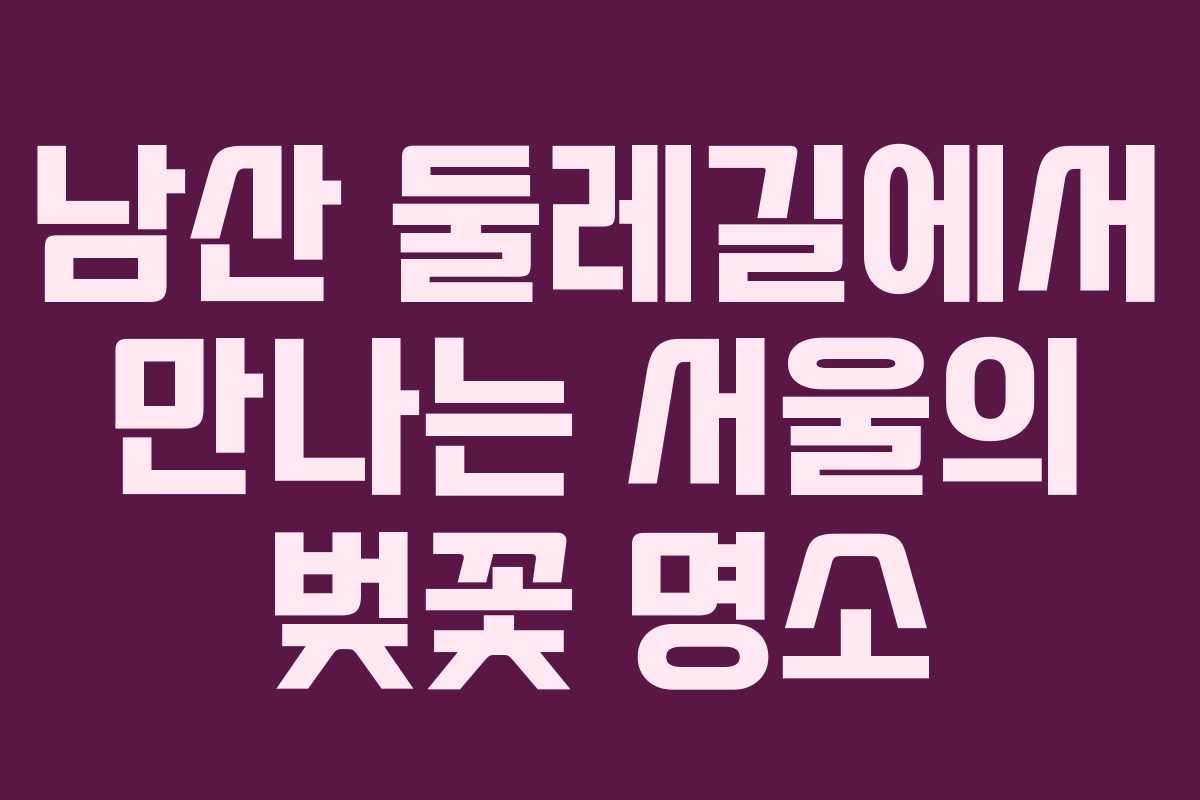 남산 둘레길에서 만나는 서울의 벚꽃 명소