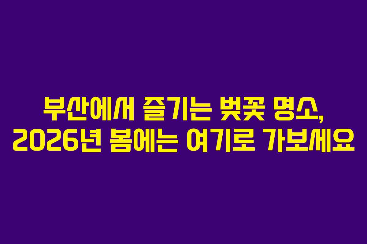 부산에서 즐기는 벚꽃 명소, 2026년 봄에는 여기로 가보세요