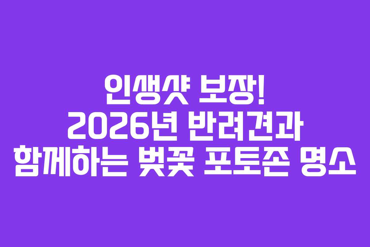 인생샷 보장! 2026년 반려견과 함께하는 벚꽃 포토존 명소