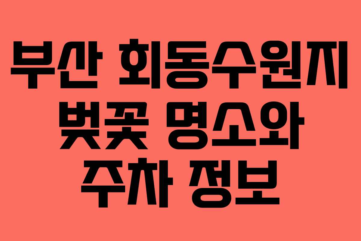 부산 회동수원지 벚꽃 명소와 주차 정보