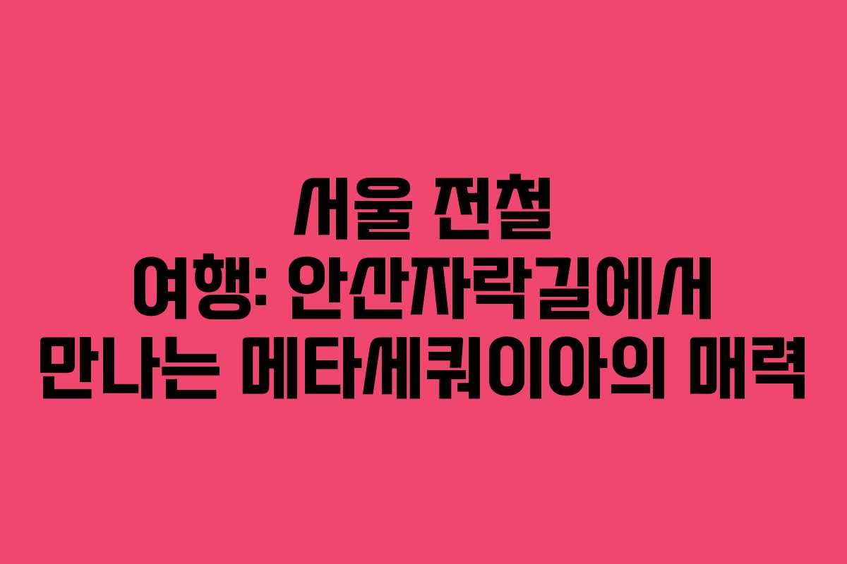 서울 전철 여행: 안산자락길에서 만나는 메타세쿼이아의 매력