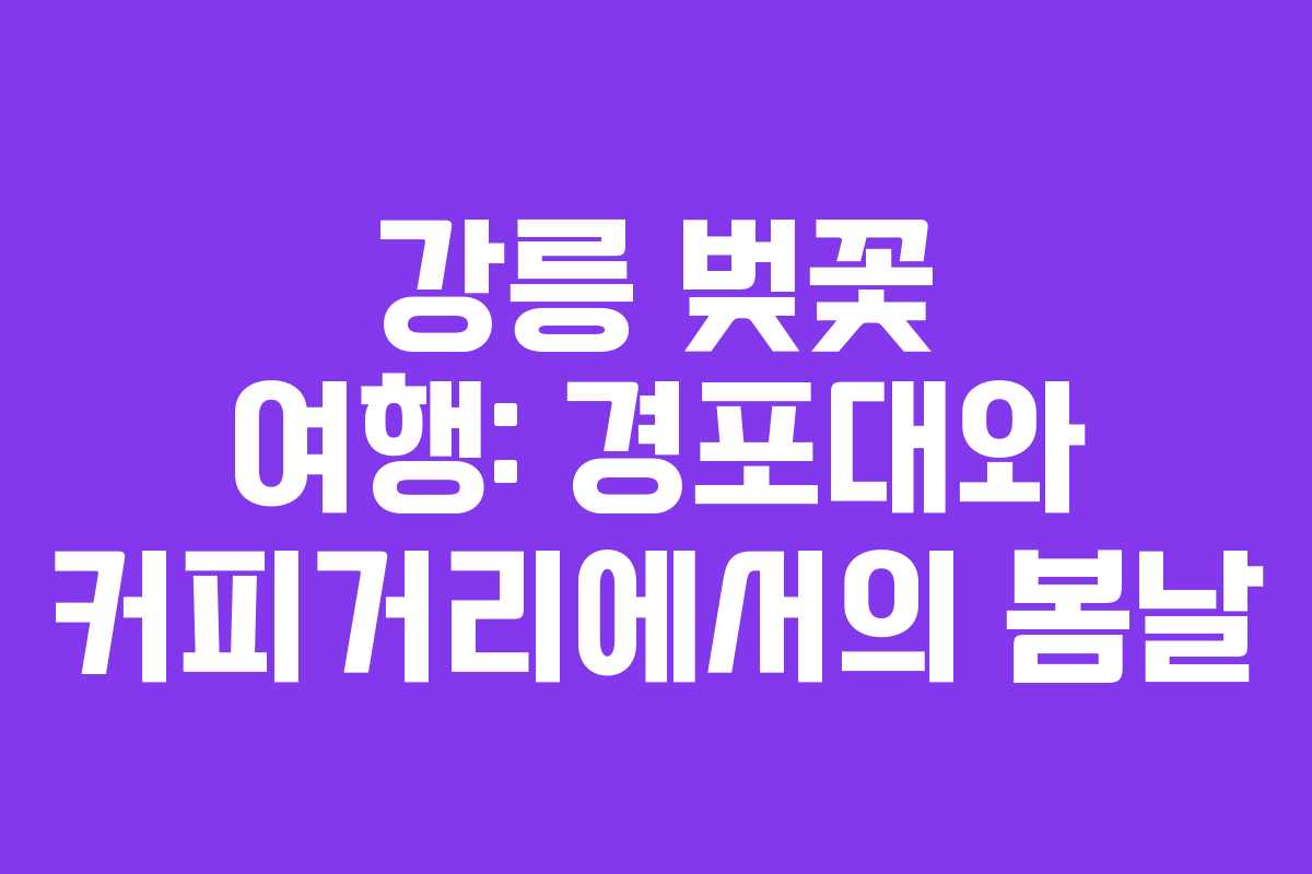 강릉 벚꽃 여행: 경포대와 커피거리에서의 봄날