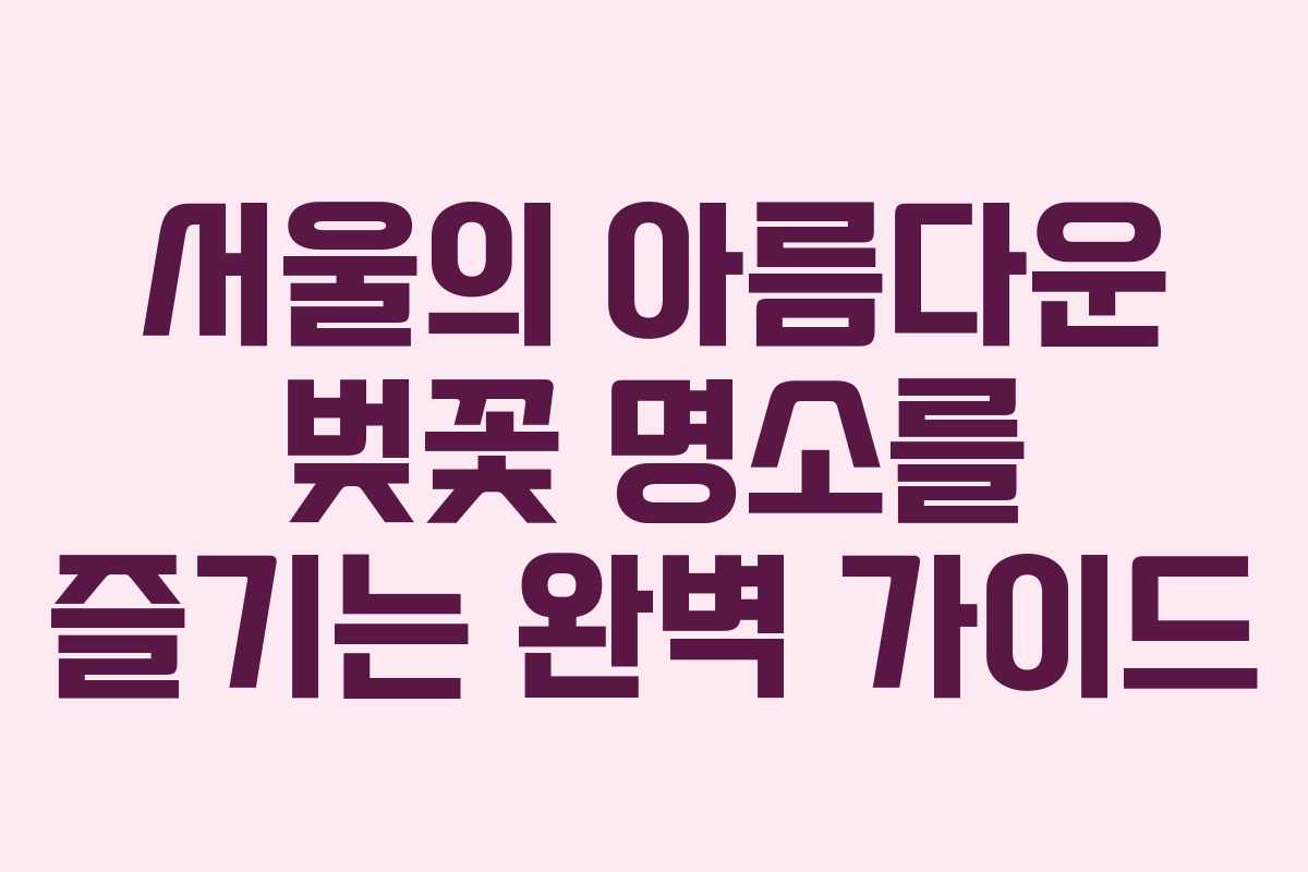 서울의 아름다운 벚꽃 명소를 즐기는 완벽 가이드