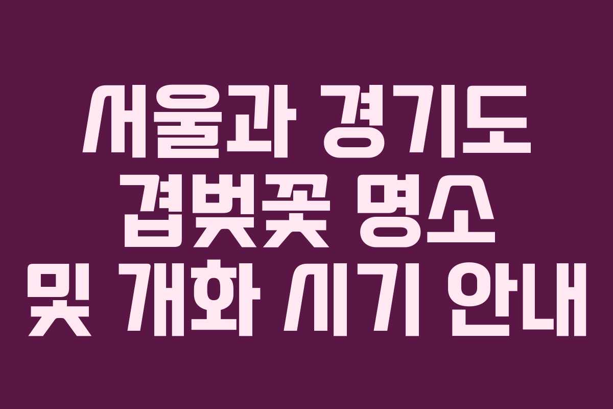 서울과 경기도 겹벚꽃 명소 및 개화 시기 안내
