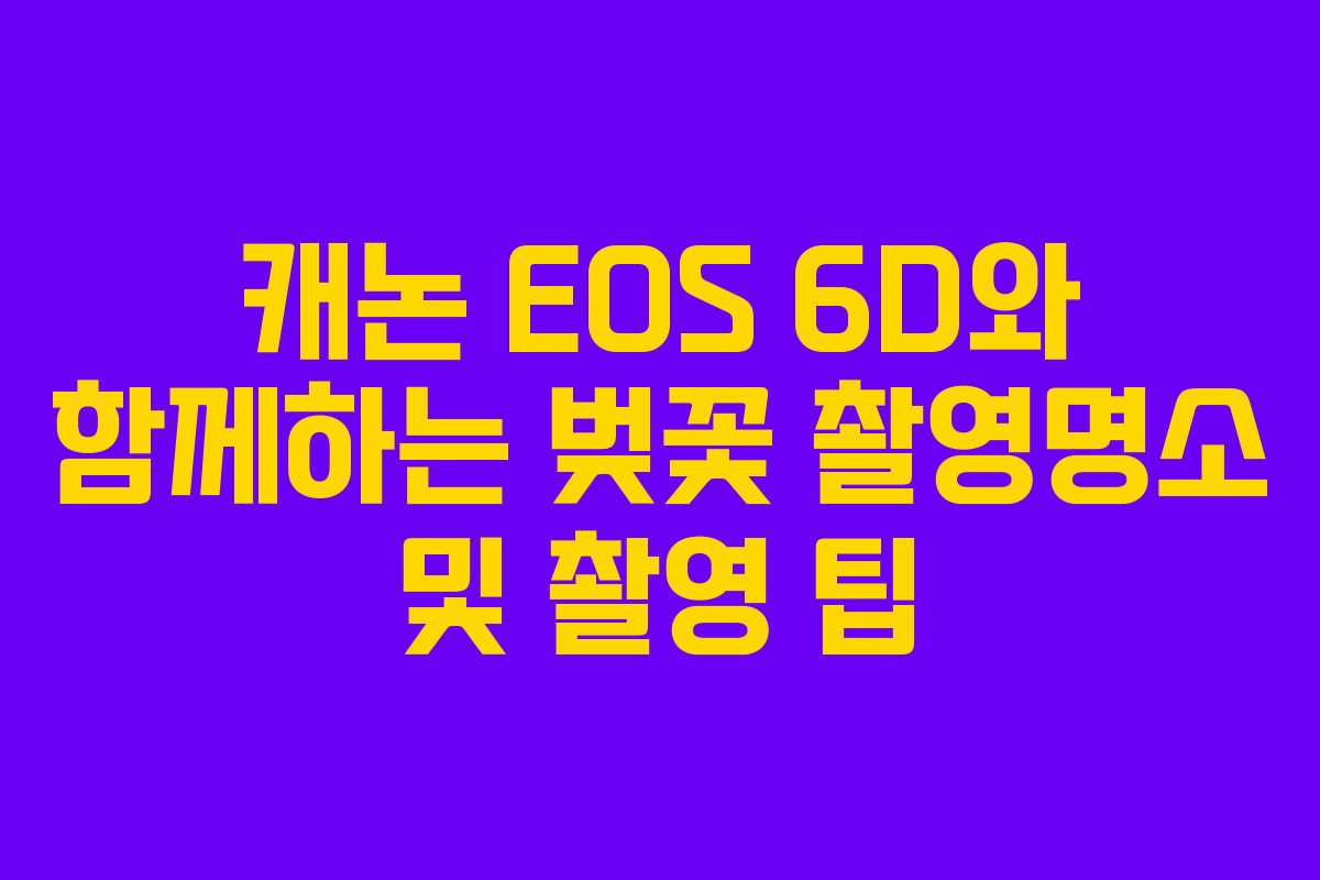캐논 EOS 6D와 함께하는 벚꽃 촬영명소 및 촬영 팁