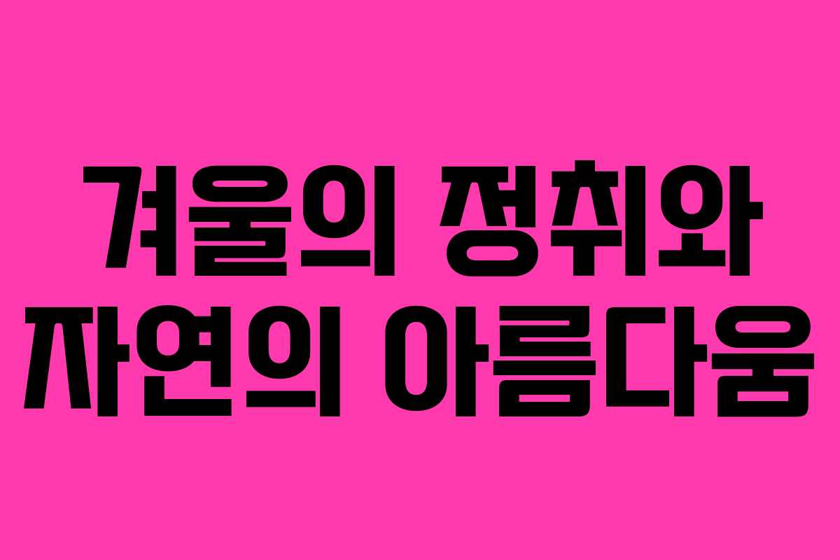 겨울의 정취와 자연의 아름다움