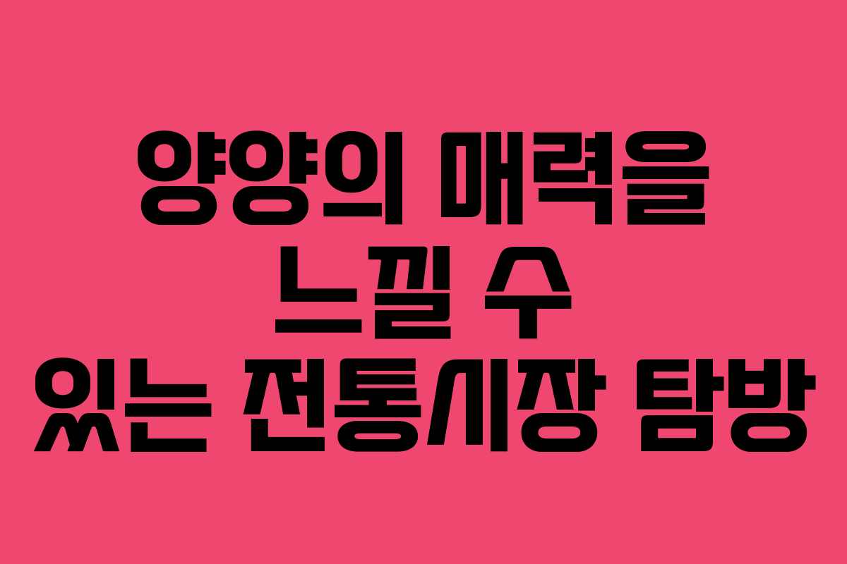 양양의 매력을 느낄 수 있는 전통시장 탐방