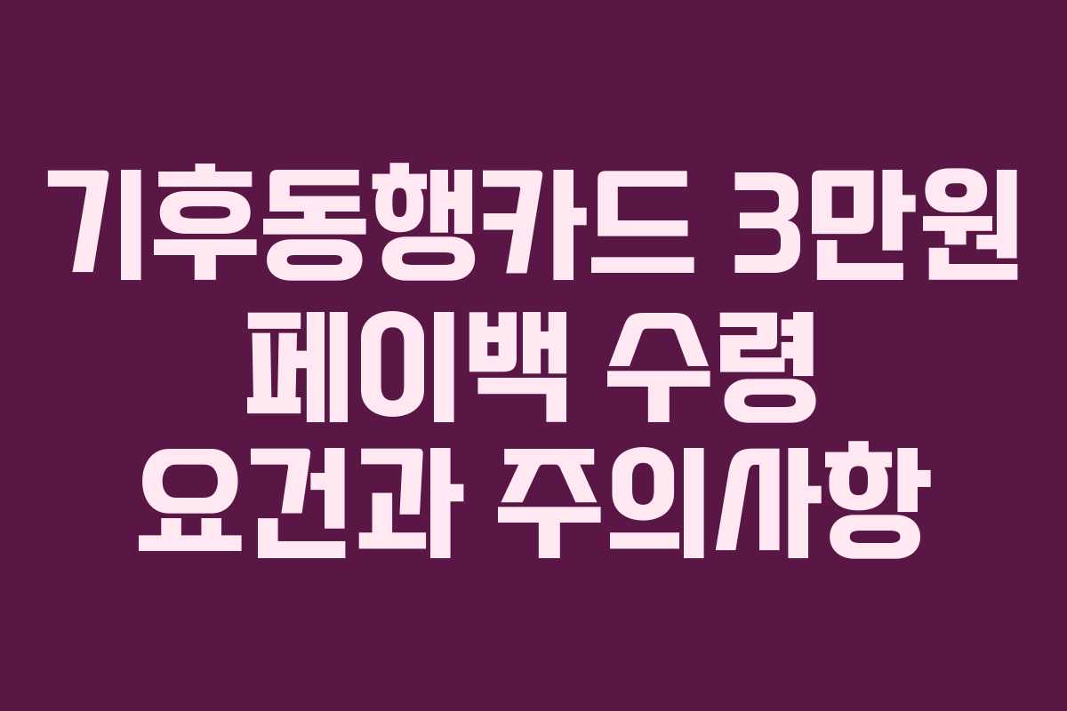기후동행카드 3만원 페이백 수령 요건과 주의사항