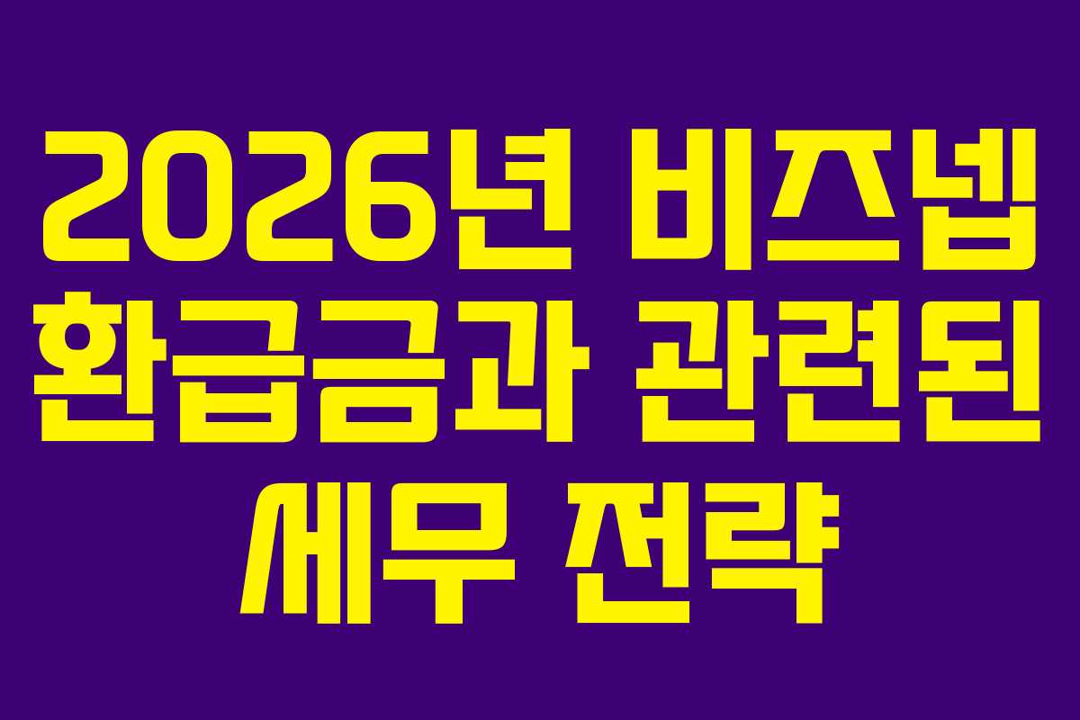 2026년 비즈넵 환급금과 관련된 세무 전략