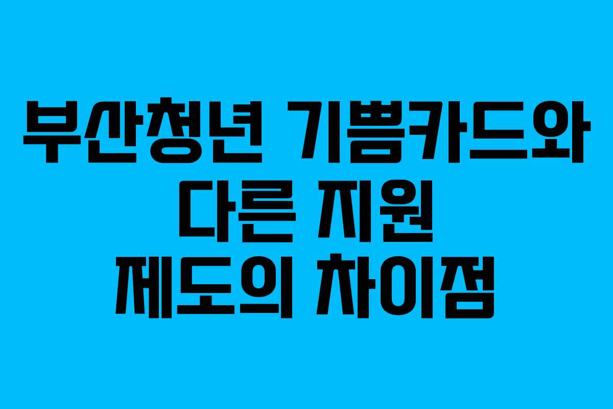부산청년 기쁨카드와 다른 지원 제도의 차이점