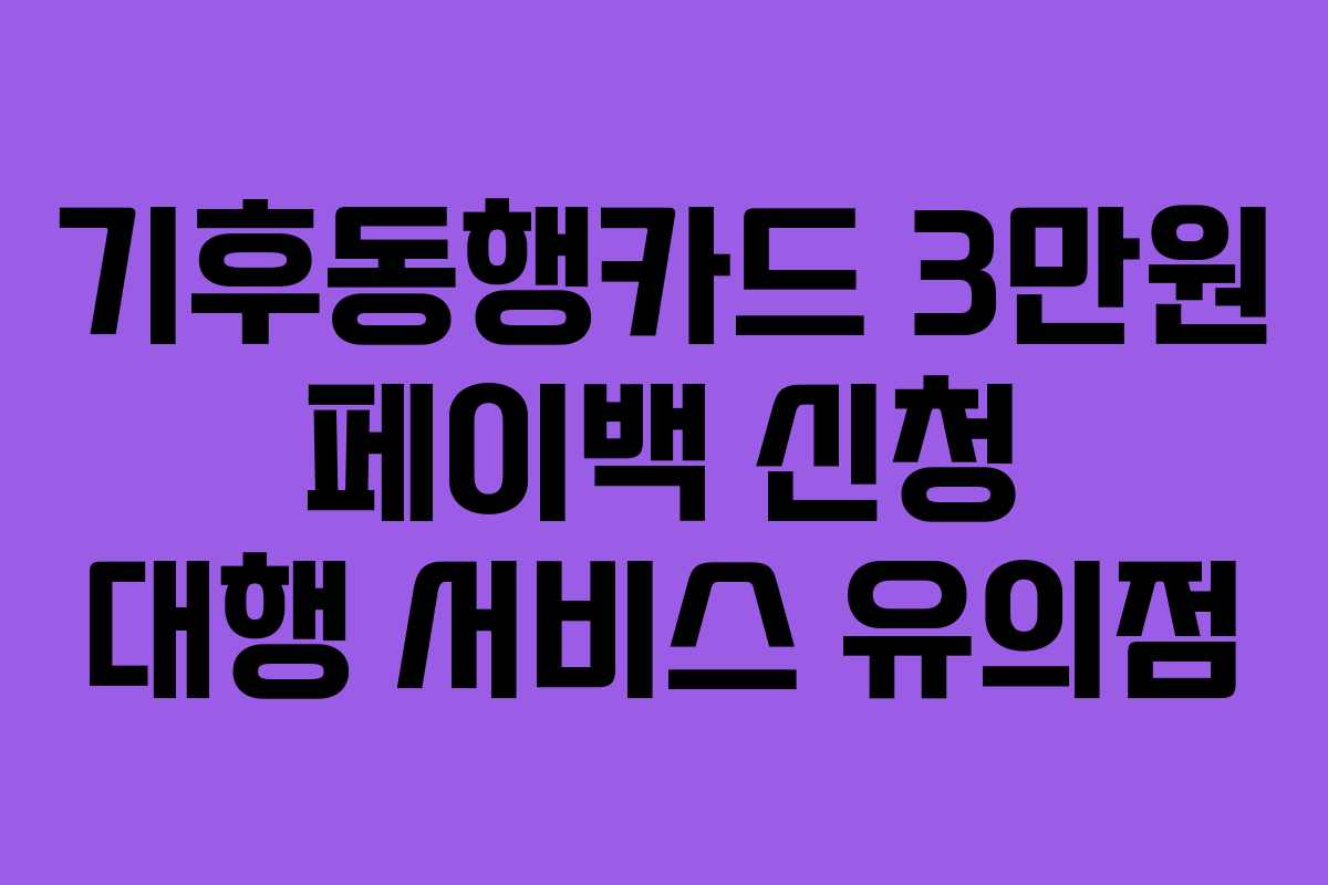 기후동행카드 3만원 페이백 신청 대행 서비스 유의점