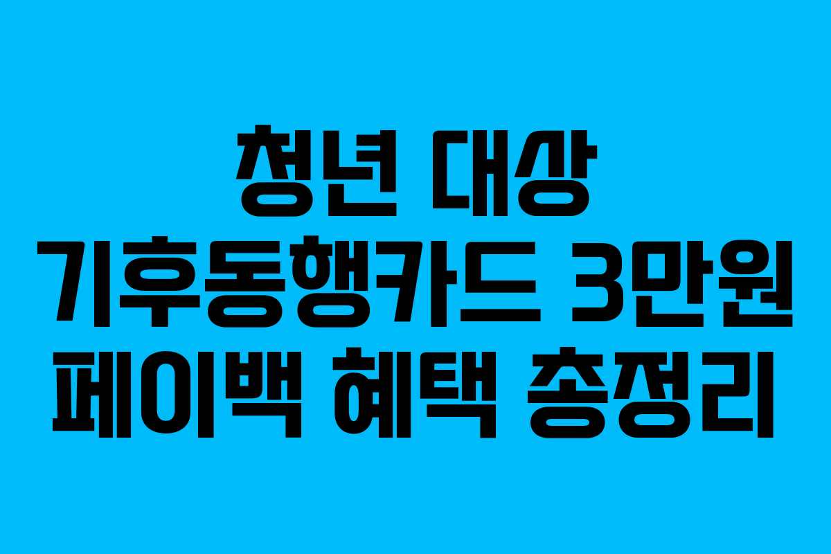 청년 대상 기후동행카드 3만원 페이백 혜택 총정리