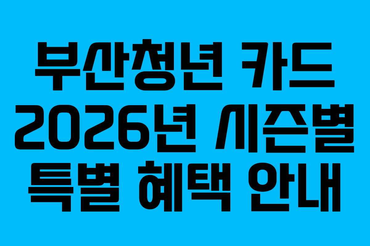 부산청년 카드 2026년 시즌별 특별 혜택 안내