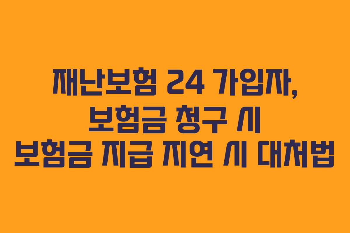 재난보험 24 가입자, 보험금 청구 시 보험금 지급 지연 시 대처법