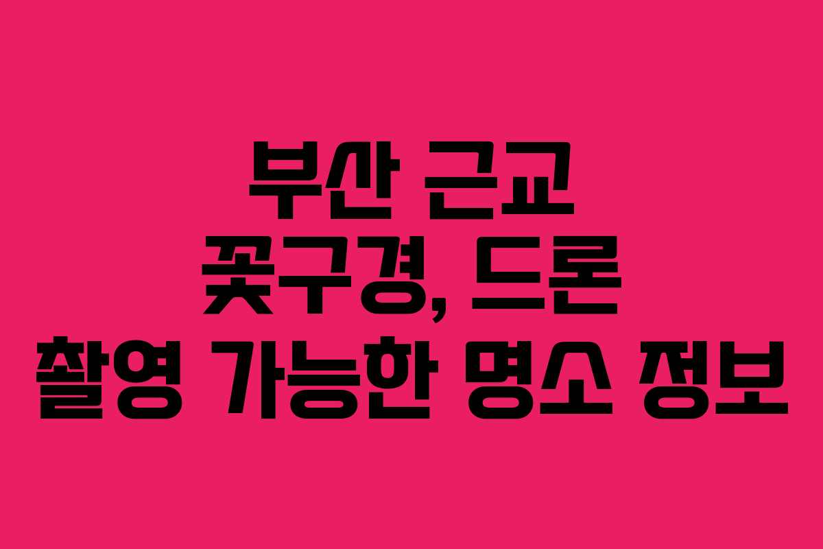 부산 근교 꽃구경, 드론 촬영 가능한 명소 정보
